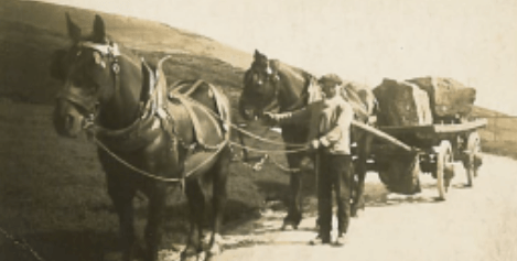 about beginnings edit