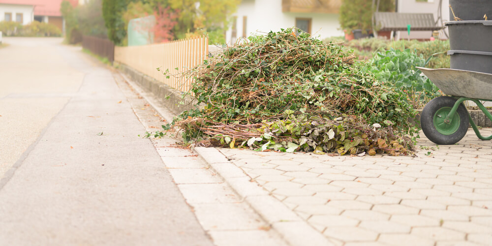 A pile of trimmed branches and leaves sits on a paved sidewalk next to a wheelbarrow. The street is quiet, lined with houses and greenery.