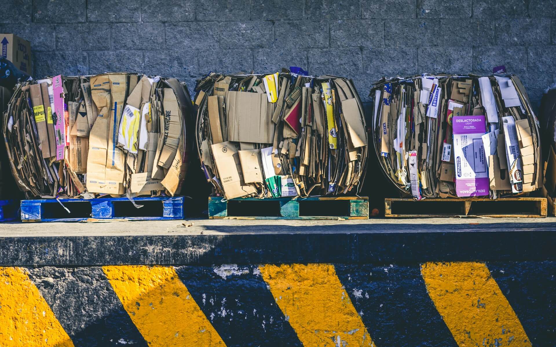 alfonso navarro qphtJfcDys unsplash