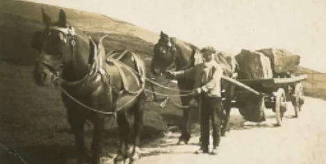 about beginnings edit