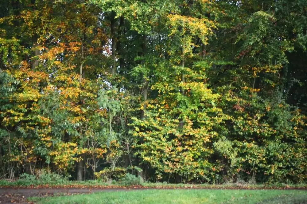 Cheap Skip Hire in Skelmersdale